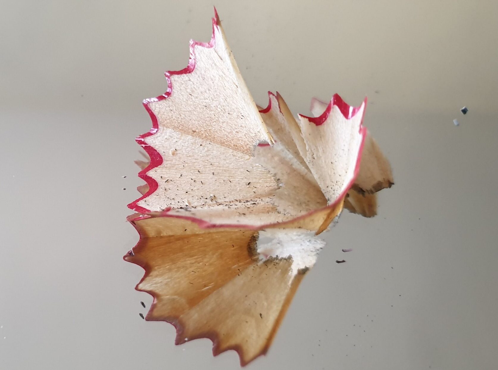 Featured image for “Cuatro claves para el testamento vital”