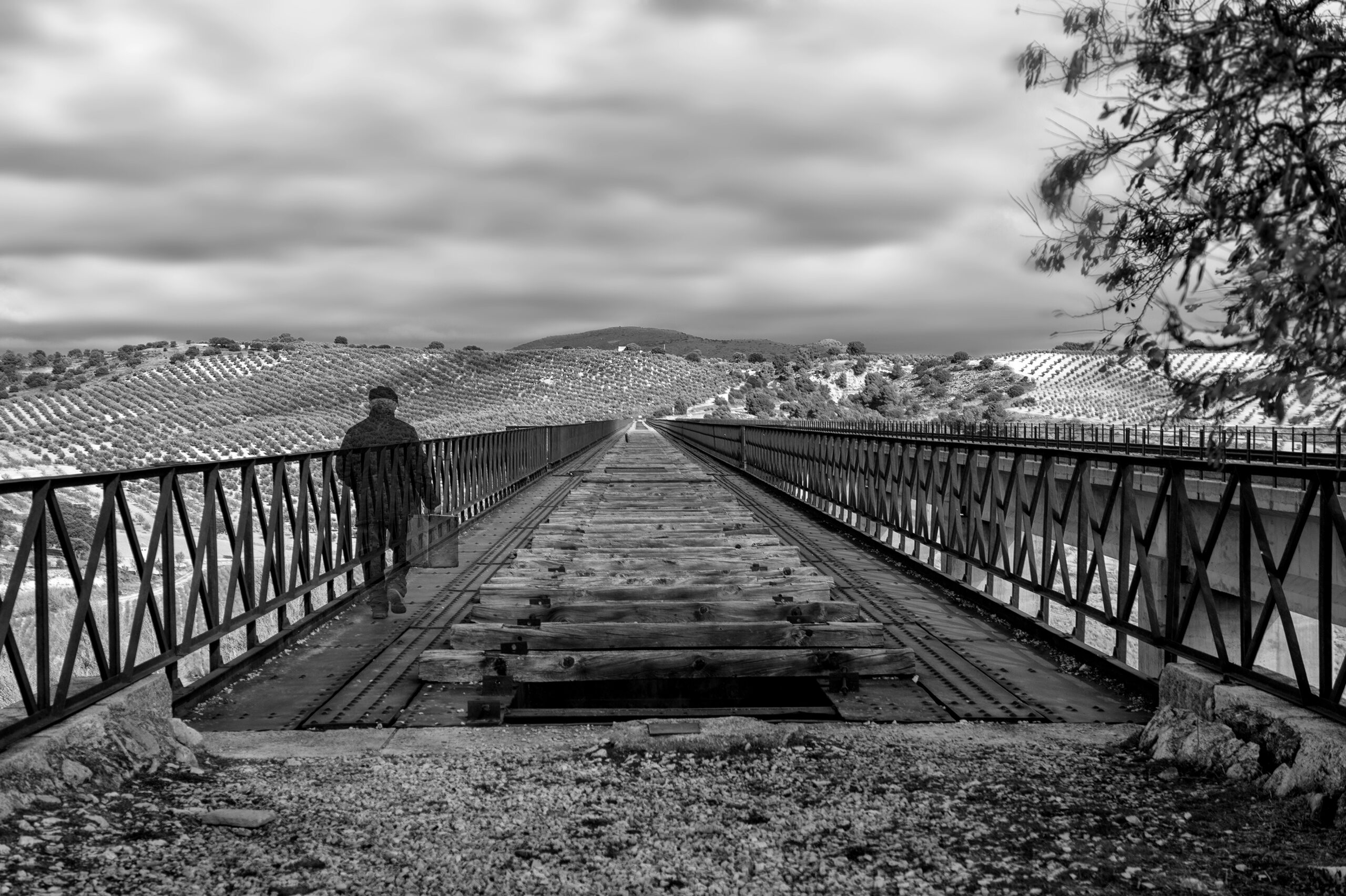 Featured image for “Morir con dignidad más allá de la Ley de eutanasia”