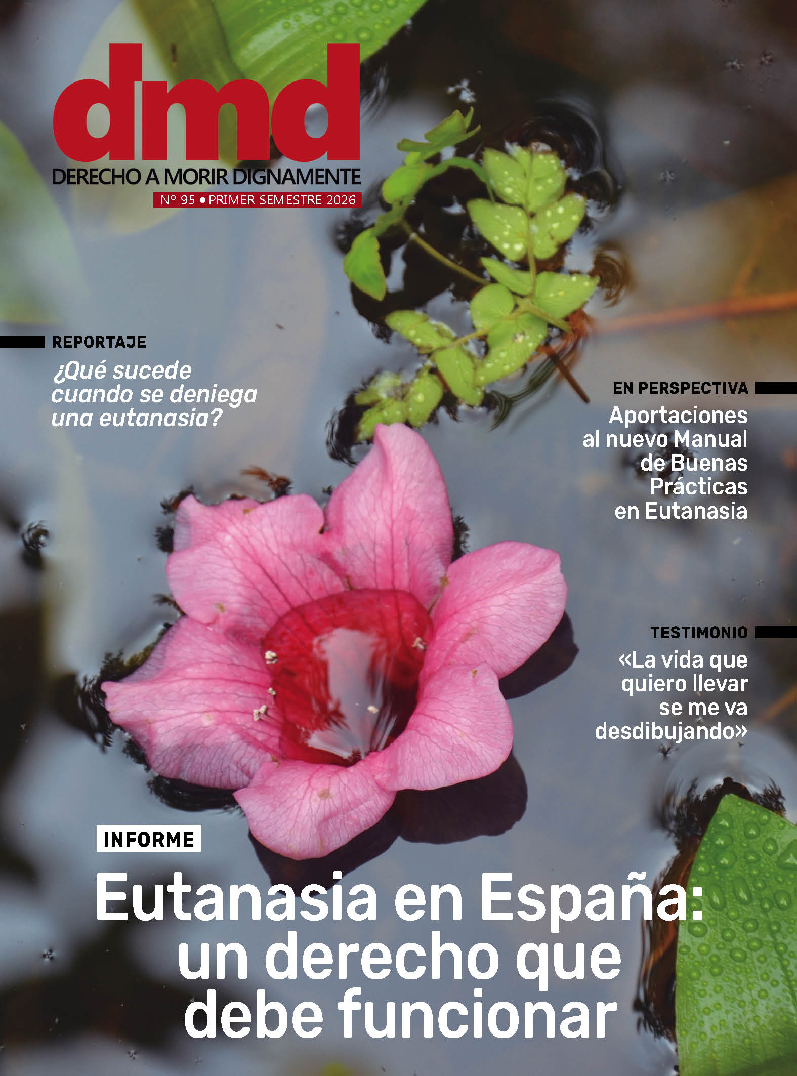Featured image for “Revista DMD número 95”